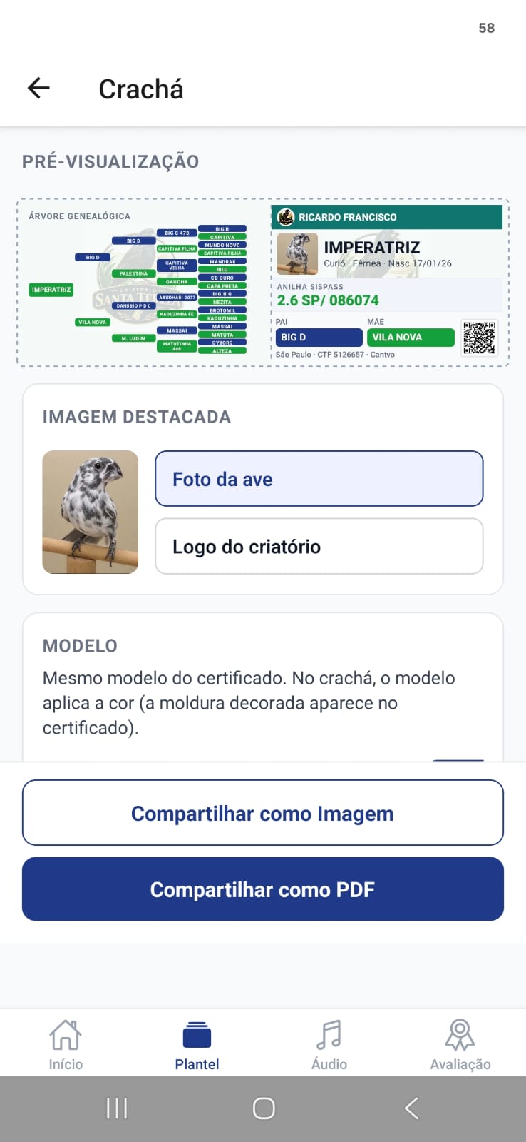 Crachá da gaiola